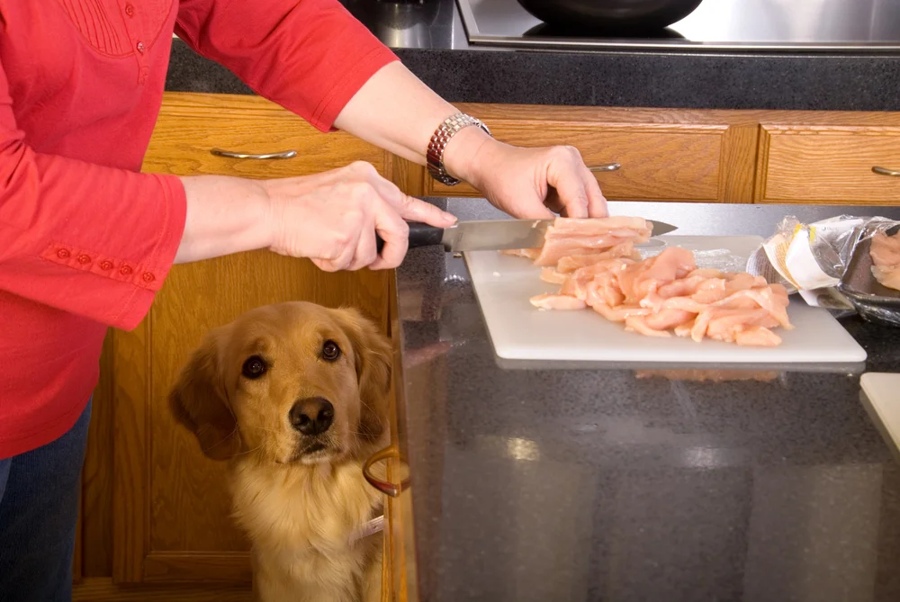 Can dogs eat marinated chicken?